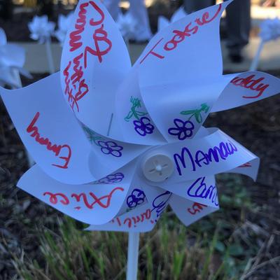 Lung cancer awareness celebration pinwheel