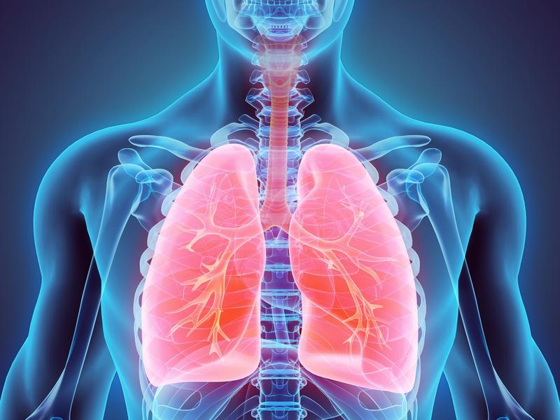 xray of human chest showing lungs