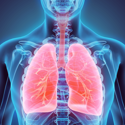 Photo of lung screening image